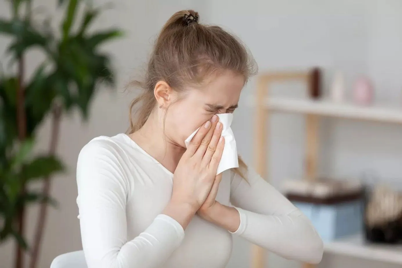 Allergies aux moisissures